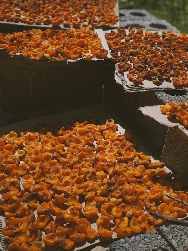 A close-up view of a pile of dried apricots arranged neatly on a wooden table surface.